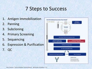 7 Steps to Success
1. Antigen Immobilization
2. Panning
3. Subcloning
4. Primary Screening
5. Sequencing
6. Expression & Purification
7. QC
Ylera, Francisco. "HuCAL Antibodies Technical Manual" AbD Serotec 2nd edition. P. 12
 