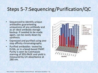 Steps 5-7:Sequencing/Purification/QC
• Sequenced to identify unique
antibodies guaranteeing
uniqueness of any antibody and
as an ideal antibody storage
backup. If needed to be made
again, can be easily down by
synthesis.
• Expressed and purified using one-
step affinity chromatography.
• Purified antibodies tested by
ELISA, or in a bead-based FMAT.
Purity is seen by Coomassie
staining of SDS-PAGE and yield is
measured by UV absorbance at
280 nm.
Ylera, Francisco. "HuCAL Antibodies Technical Manual" AbD Serotec 2nd edition. P. 32
 