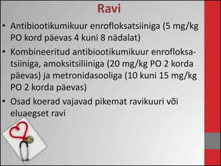 Ravi 
• Antibiootikumikuur enrofloksatsiiniga (5 mg/kg 
PO kord päevas 4 kuni 8 nädalat) 
• Kombineeritud antibiootikumikuur enrofloksa-tsiiniga, 
amoksitsiliiniga (20 mg/kg PO 2 korda 
päevas) ja metronidasooliga (10 kuni 15 mg/kg 
PO 2 korda päevas) 
• Osad koerad vajavad pikemat ravikuuri või 
eluaegset ravi 
 