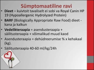 Sümptomaatiline ravi 
• Dieet – kuivtoit tavaliselt ei sobi va Royal Canin HP 
19 (Hypoallergenic Hydrolyzed Protein) 
• BARF (Biologically Appropriate Raw Food) dieet - 
kana ja kalkun 
• Vedelikteraapia = asendusteraapia + 
säilitusteraapia + võimalikud muud kaod 
• Asendusteraapia = dehüdreerumise % x kehakaal 
(kg). 
• Säilitusteraapia 40-60 ml/kg/24h 
 