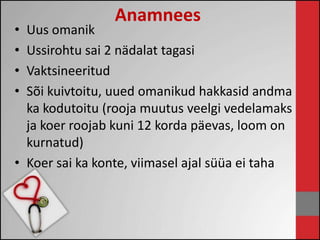 Anamnees 
• Uus omanik 
• Ussirohtu sai 2 nädalat tagasi 
• Vaktsineeritud 
• Sõi kuivtoitu, uued omanikud hakkasid andma 
ka kodutoitu (rooja muutus veelgi vedelamaks 
ja koer roojab kuni 12 korda päevas, loom on 
kurnatud) 
• Koer sai ka konte, viimasel ajal süüa ei taha 
 