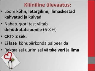Kliiniline ülevaatus: 
• Loom kõhn, letargiline, limaskestad 
kahvatud ja kuivad 
• Nahaturgori test viitab 
dehüdratatsioonile (6-8 %) 
• CRT> 2 sek. 
• Ei lase kõhupiirkonda palpeerida 
• Rektaalsel uurimisel värske veri ja lima 
 