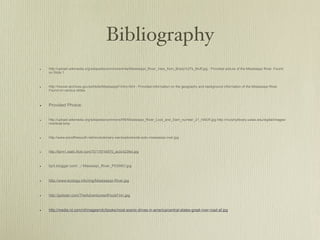 huckleberry finn bibliography