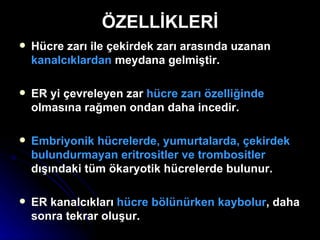 ÖZELLİKLERİ Hücre zarı ile çekirdek zarı arasında uzanan  kanalcıklardan  meydana gelmiştir. ER yi çevreleyen zar  hücre zarı özelliğinde  olmasına rağmen ondan daha incedir. Embriyonik hücrelerde, yumurtalarda, çekirdek bulundurmayan eritrositler ve trombositler  dışındaki tüm ökaryotik hücrelerde bulunur. ER kanalcıkları  hücre bölünürken kaybolur , daha sonra tekrar oluşur. 
