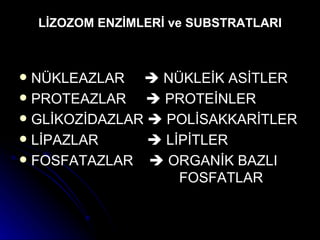 LİZOZOM ENZİMLERİ ve SUBSTRATLARI NÜKLEAZLAR    NÜKLEİK ASİTLER PROTEAZLAR    PROTEİNLER GLİKOZİDAZLAR    POLİSAKKARİTLER LİPAZLAR   LİPİTLER FOSFATAZLAR    ORGANİK BAZLI  FOSFATLAR 