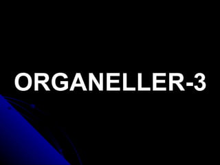 ORGANELLER-3 