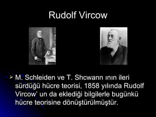 Rudolf Vircow M. Schleiden ve T. Shcwann ının ileri sürdüğü hücre teorisi, 1858 yılında Rudolf Vircow’ un da eklediği bilgilerle bugünkü hücre teorisine dönüştürülmüştür.   