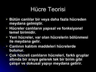 Hücre Teorisi Bütün canlılar bir veya daha fazla hücreden meydana gelmiştir. Hücreler canlıların yapısal ve fonksiyonel temel birimidir. Yeni hücreler, var olan hücrelerin bölünmesi ile meydana gelir. Canlının kalıtım maddeleri hücrelerde bulunur. Çok hücreli canlıların hücreleri, farklı gruplar altında bir araya gelerek tek bir birim gibi çalışır ve dokusal yapıyı meydana getirir.  