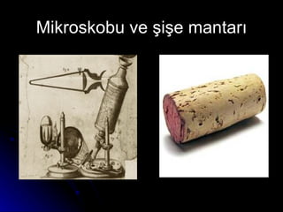 Mikroskobu ve şişe mantarı 