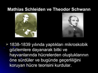 Mathias Schleiden ve Theodor Schwann 1838-1839 yılında yaptıkları mikroskobik gözlemlere dayanarak bitki ve hayvanlarında hücrelerden oluştuklarının öne sürdüler ve bugünde geçerliliğini koruyan hücre teorisini kurdular. 