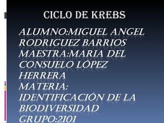 CICLO DE KREBS 