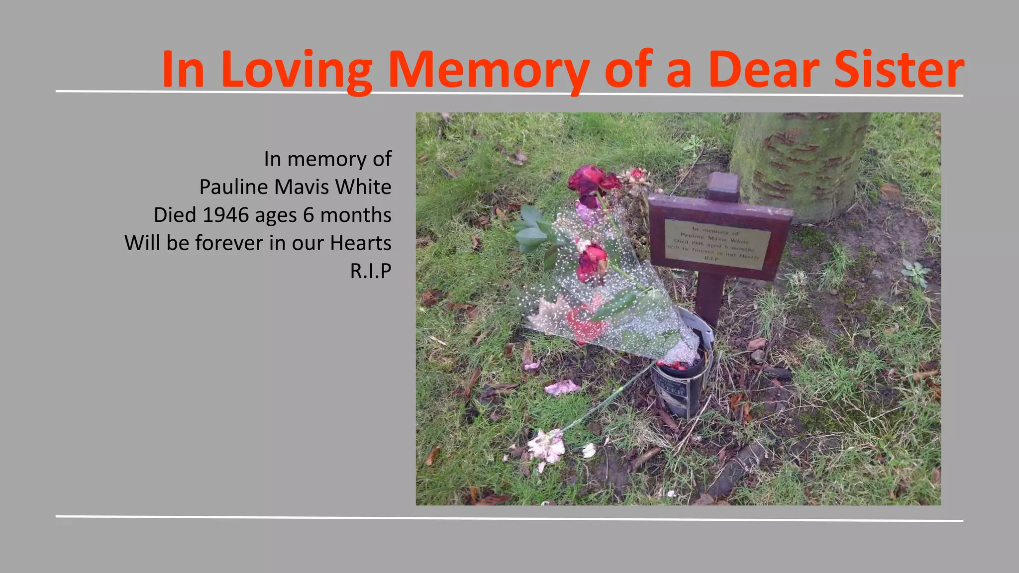 In Loving Memory of a Dear Sister
In memory of
Pauline Mavis White
Died 1946 ages 6 months
Will be forever in our Hearts
R.I.P
 