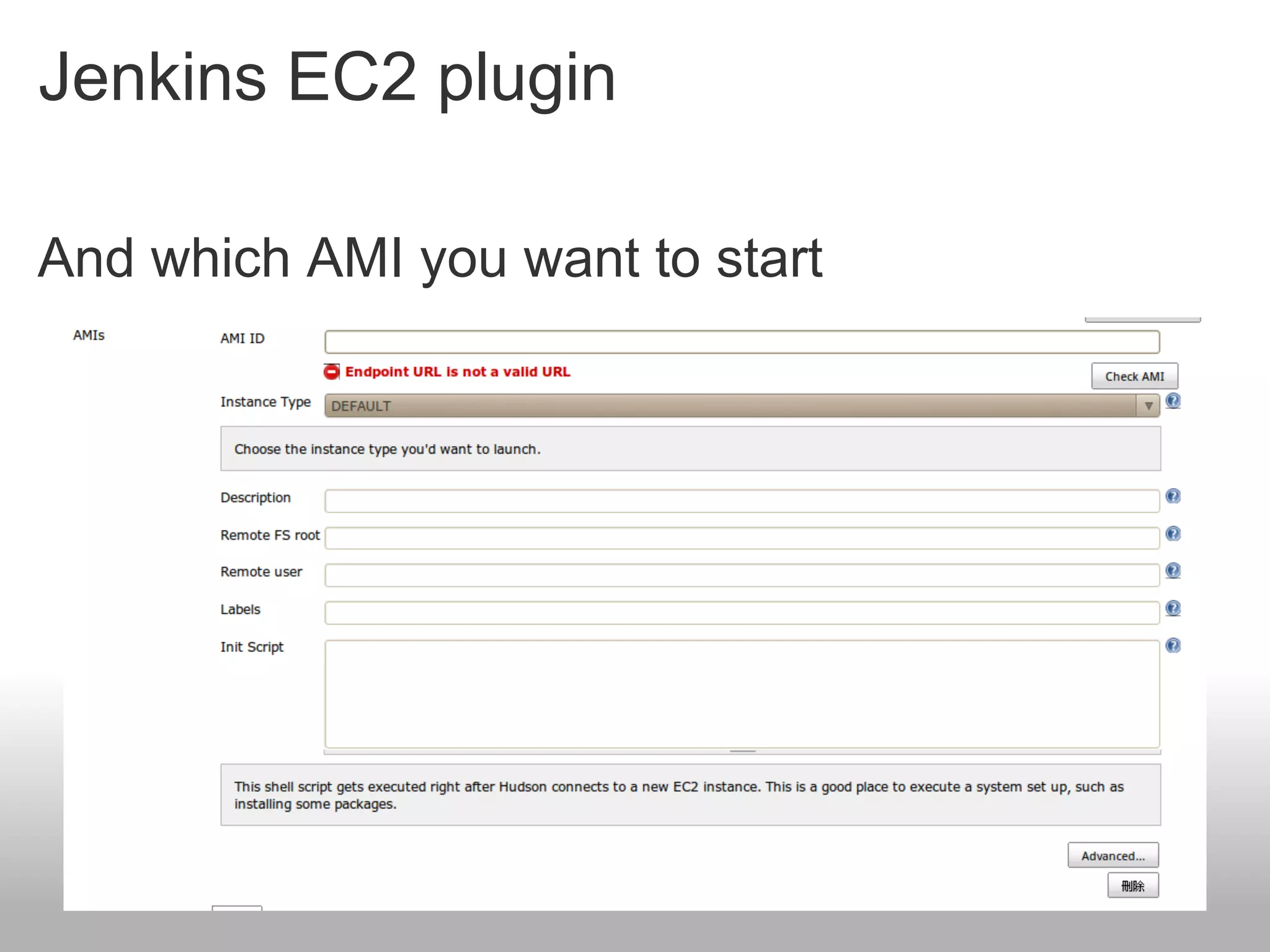 Jenkins EC2 plugin

And which AMI you want to start
 