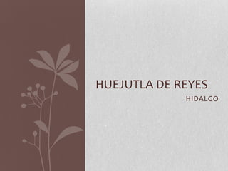 HUEJUTLA DE REYES
             HIDALGO
 