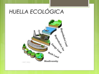 HUELLA ECOLÓGICA
 