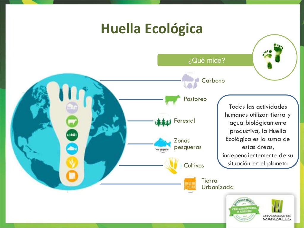 Huella ecológica Huella ecológica