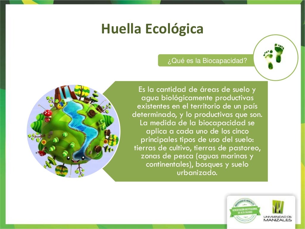 Huella ecológica