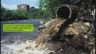 Se buscan con esta huella ecológica
evaluar el impacto que tienen las
industrias en el planeta.
 