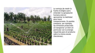 La ventaja de medir la
huella ecológica para
entender la apropiación
humana está en
aprovechar la habilidad
para hacer
comparaciones. Es posible
comparar, por ejemplo,
las emisiones producidas
al transportar un bien en
particular con la energía
requerida para el producto
sobre la misma escala
(hectáreas).
 