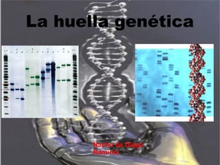 La huella genética
Nacho de Diego
Ramírez
 