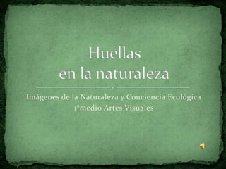 Imágenes de la Naturaleza y Conciencia Ecológica 1°medio Artes Visuales Huellasen la naturaleza 