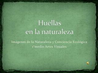 Imágenes de la Naturaleza y Conciencia Ecológica
             1°medio Artes Visuales
 