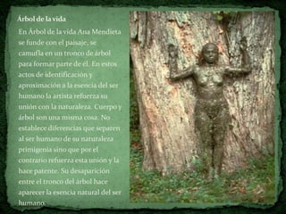 Árbol de la vida
En Árbol de la vida Ana Mendieta
se funde con el paisaje, se
camufla en un tronco de árbol
para formar parte de él. En estos
actos de identificación y
aproximación a la esencia del ser
humano la artista refuerza su
unión con la naturaleza. Cuerpo y
árbol son una misma cosa. No
establece diferencias que separen
al ser humano de su naturaleza
primigenia sino que por el
contrario refuerza esta unión y la
hace patente. Su desaparición
entre el tronco del árbol hace
aparecer la esencia natural del ser
humano.
 