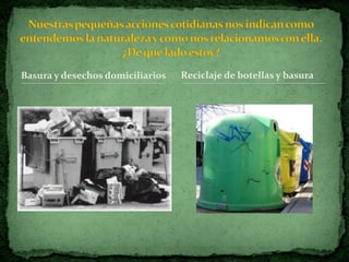 Basura y desechos domiciliarios   Reciclaje de botellas y basura
 