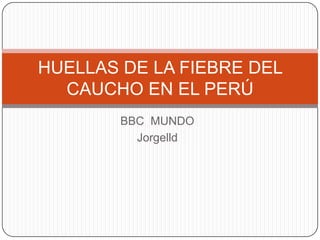 BBC  MUNDO Jorgelld HUELLAS DE LA FIEBRE DEL CAUCHO EN EL PERÚ 