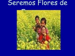 Seremos Flores de Esperanza 