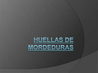 HUELLAS DE MORDEDURAS 