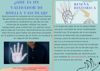 A lo largo del siglo XX se ha desarrollado
una gran cantidad de otras modalidades
biométricas. El progreso de la tecnología
permite el desarrollo de modalidades
nuevas, como la identificación por el patrón
del iris o el reconocimiento facial
(desarrollado entre los finales de la década
de los 80 y principio de los 90 del siglo XX).
También se han propuesto y están en
desarrollo modalidades de identificación
que emplean la vascularización, la firma, la
voz o la manera de caminar.
Esta biometría consiste en el reconocimiento
de patrones vasculares dentro del cuerpo de
una persona, mediante el uso de luz casi
infrarroja se pueden reflejar los vasos
sanguíneos, que conforman un patrón único
para cada ser humano. Normalmente se utiliza
esta técnica para hallar los patrones situados
en la palma o el dorso de la mano, la muñeca o
en alguno de los dedos.
¿Qué es un
validador de
huella vascular?
RESEÑA
HISTÓRICA
https://www.platec.co/post/sabes-que-es-la-
biometria-vascular
 