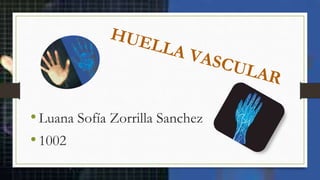•Luana Sofía Zorrilla Sanchez
•1002
 