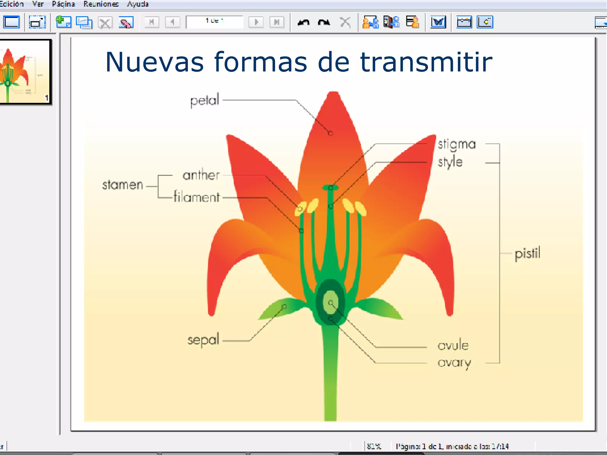 Nuevas formas de transmitir