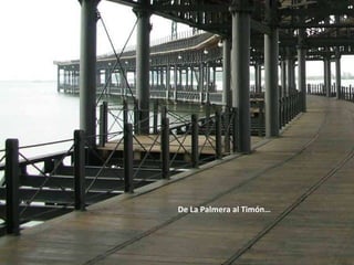 De La Palmera al Timón… 