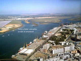 Tinto y Odiel -una piña-  Le dan al amanecer  