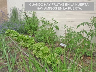 CUANDO HAY FRUTAS EN LA HUERTA,
HAY AMIGOS EN LA PUERTA.
 
