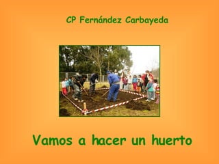 Vamos a hacer un huerto CP Fernández Carbayeda 