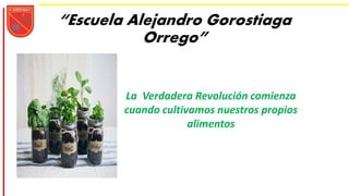 “Escuela Alejandro Gorostiaga
Orrego”
La Verdadera Revolución comienza
cuando cultivamos nuestros propios
alimentos
 
