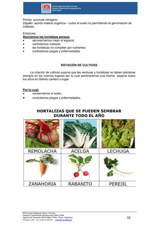 INTA Centro Regional Chaco Formosa
Estación Experimental Agropecuaria Sáenz Peña
Agencia de Extensión Rural Sáenz Peña. Chaco. Argentina.
Pellegrini 238 – tel. (0364) 4420234 inta.gob.ar/saenzpe
32
Poroto: acumula nitrógeno
Zapallo: aporta materia orgánica – cubre el suelo no permitiendo la germinación de
malezas.
Entonces:
Asociamos las hortalizas porque:
 aprovechamos mejor el espacio
 controlamos malezas
 las hortalizas no compiten por nutrientes
 controlamos plagas y enfermedades
ROTACIÓN DE CULTIVOS
La rotación de cultivos supone que las verduras y hortalizas no deben plantarse
siempre en los mismos lugares por lo cual sembraremos una misma especie todos
los años en distinto cantero o lugar.
Por lo cual:
 conservamos el suelo.
 controlamos plagas y enfermedades.
HORTALIZAS QUE SE PUEDEN SEMBRAR
DURANTE TODO EL AÑO
 