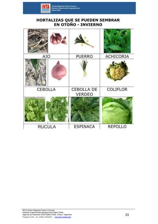INTA Centro Regional Chaco Formosa
Estación Experimental Agropecuaria Sáenz Peña
Agencia de Extensión Rural Sáenz Peña. Chaco. Argentina.
Pellegrini 238 – tel. (0364) 4420234 inta.gob.ar/saenzpe
33
HORTALIZAS QUE SE PUEDEN SEMBRAR
EN OTOÑO - INVIERNO
 