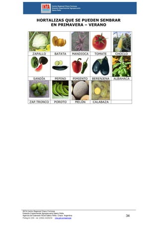 INTA Centro Regional Chaco Formosa
Estación Experimental Agropecuaria Sáenz Peña
Agencia de Extensión Rural Sáenz Peña. Chaco. Argentina.
Pellegrini 238 – tel. (0364) 4420234 inta.gob.ar/saenzpe
34
HORTALIZAS QUE SE PUEDEN SEMBRAR
EN PRIMAVERA – VERANO
 