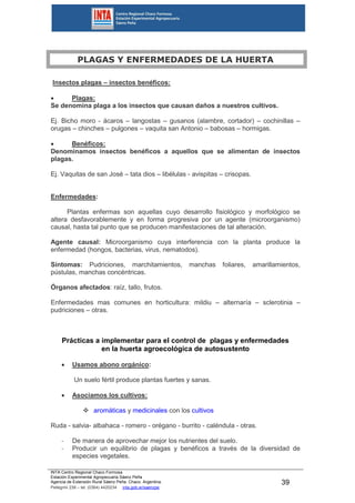 INTA Centro Regional Chaco Formosa
Estación Experimental Agropecuaria Sáenz Peña
Agencia de Extensión Rural Sáenz Peña. Chaco. Argentina.
Pellegrini 238 – tel. (0364) 4420234 inta.gob.ar/saenzpe
39
PLAGAS Y ENFERMEDADES DE LA HUERTA
Insectos plagas – insectos benéficos:
 Plagas:
Se denomina plaga a los insectos que causan daños a nuestros cultivos.
Ej. Bicho moro - ácaros – langostas – gusanos (alambre, cortador) – cochinillas –
orugas – chinches – pulgones – vaquita san Antonio – babosas – hormigas.
 Benéficos:
Denominamos insectos benéficos a aquellos que se alimentan de insectos
plagas.
Ej. Vaquitas de san José – tata dios – libélulas - avispitas – crisopas.
Enfermedades:
Plantas enfermas son aquellas cuyo desarrollo fisiológico y morfológico se
altera desfavorablemente y en forma progresiva por un agente (microorganismo)
causal, hasta tal punto que se producen manifestaciones de tal alteración.
Agente causal: Microorganismo cuya interferencia con la planta produce la
enfermedad (hongos, bacterias, virus, nematodos).
Síntomas: Pudriciones, marchitamientos, manchas foliares, amarillamientos,
pústulas, manchas concéntricas.
Órganos afectados: raíz, tallo, frutos.
Enfermedades mas comunes en horticultura: mildiu – alternaría – sclerotinia –
pudriciones – otras.
Prácticas a implementar para el control de plagas y enfermedades
en la huerta agroecológica de autosustento
 Usamos abono orgánico:
Un suelo fértil produce plantas fuertes y sanas.
 Asociamos los cultivos:
 aromáticas y medicinales con los cultivos
Ruda - salvia- albahaca - romero - orégano - burrito - caléndula - otras.
- De manera de aprovechar mejor los nutrientes del suelo.
- Producir un equilibrio de plagas y benéficos a través de la diversidad de
especies vegetales.
 