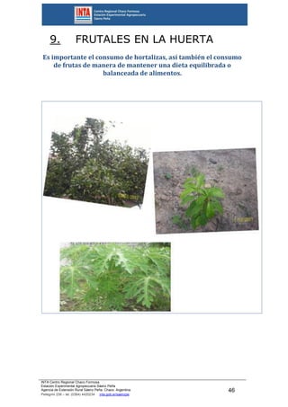 INTA Centro Regional Chaco Formosa
Estación Experimental Agropecuaria Sáenz Peña
Agencia de Extensión Rural Sáenz Peña. Chaco. Argentina.
Pellegrini 238 – tel. (0364) 4420234 inta.gob.ar/saenzpe
46
9. FRUTALES EN LA HUERTA
Es importante el consumo de hortalizas, así también el consumo
de frutas de manera de mantener una dieta equilibrada o
balanceada de alimentos.
 