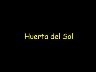 Huerta del Sol 