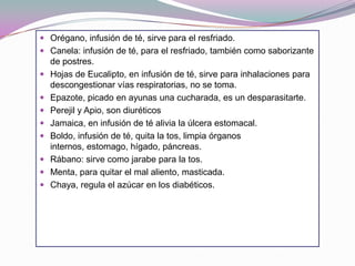  Orégano, infusión de té, sirve para el resfriado.
 Canela: infusión de té, para el resfriado, también como saborizante
  de postres.
 Hojas de Eucalipto, en infusión de té, sirve para inhalaciones para
    descongestionar vías respiratorias, no se toma.
   Epazote, picado en ayunas una cucharada, es un desparasitarte.
   Perejil y Apio, son diuréticos
   Jamaica, en infusión de té alivia la úlcera estomacal.
   Boldo, infusión de té, quita la tos, limpia órganos
    internos, estomago, hígado, páncreas.
   Rábano: sirve como jarabe para la tos.
   Menta, para quitar el mal aliento, masticada.
   Chaya, regula el azúcar en los diabéticos.
 