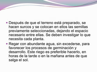  Después de que el terreno está preparado, se
  hacen surcos y se colocan en ellos las semillas
  previamente seleccionadas, dejando el espacio
  necesario entre ellas. Se deben investigar lo que
  necesita cada planta.
 Regar con abundante agua, sin excederse, para
  favorecer los procesos de germinación y
  desarrollo. Este riego es preferible hacerlo, en
 horas de la tarde o en la mañana antes de que
 salga el sol.
 
