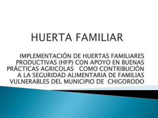 HUERTA FAMILIAR IMPLEMENTACIÓN DE HUERTAS FAMILIARES PRODUCTIVAS (HFP) CON APOYO EN BUENAS PRÁCTICAS AGRICOLAS   COMO CONTRIBUCIÓN A LA SEGURIDAD ALIMENTARIA DE FAMILIAS VULNERABLES DEL MUNICIPIO DE  CHIGORODO 