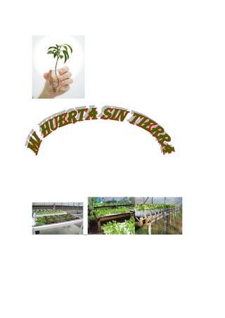 Huerta hidroponica dominguez