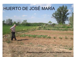 HUERTO DE JOSÉ MARÍA Presentación realizada por Marta Salazar Fernández 